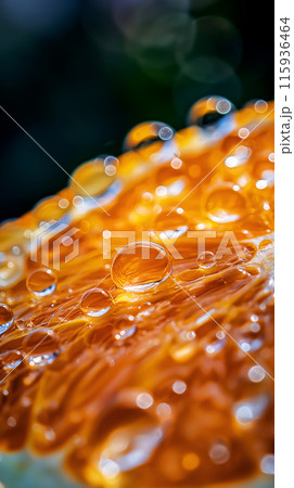 Drops of water and juice on a slice of orange highlighting the bright and juicy shades of the fruit, an idea for a background or screensaver for your phone Drops of water and juice on a slice of orange highlighting the bright and juicy shades of the fruit, an idea for a background or screensaver for your phone 115936464