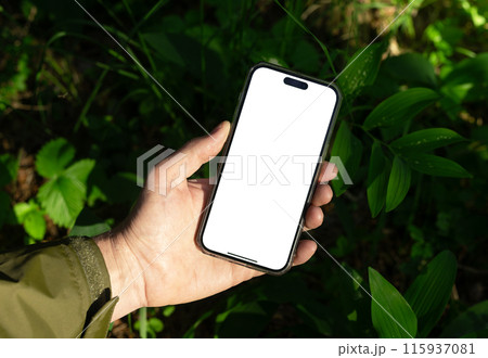 Lodz Poland June 01 2024 Hand holding mobile phone screen, smartphone mockup in nature, sunny day, 115937081