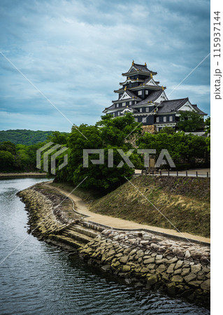 【岡山県】岡山城と空（令和の大改修後） 115937144