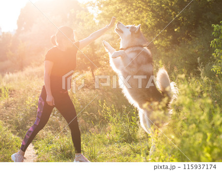 Woman training domestic dog to stand on hind legs outdoors 115937174