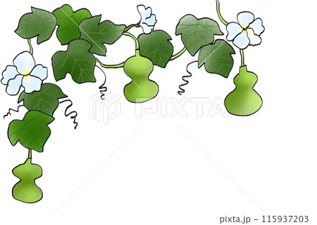瓢箪の花のカード1 115937203