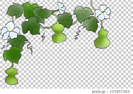 瓢箪の花のカード1 115937203