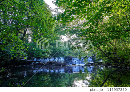 summer forest waterfall calm lake 115937250