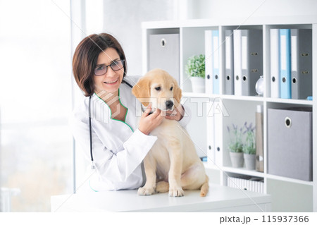 Smiling veterinarian with young dog in clinic Smiling veterinarian with young dog in clinic 115937366
