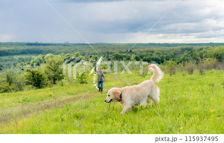 Cute dog with stick walking with pretty girl flying kite in spring nature 115937495