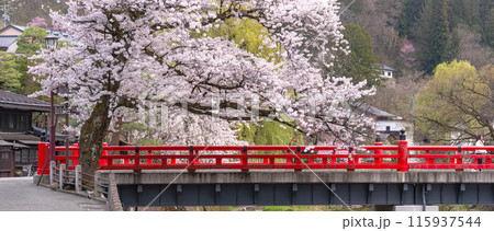 240416中橋桜g019~021 240416中橋桜g019~021 115937544