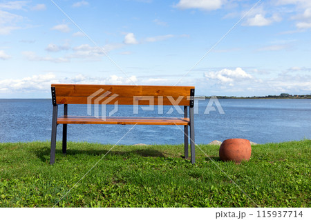 Vacant bench stands on grass at the lake coast 115937714