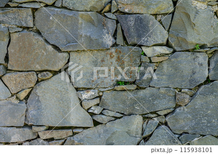 old wall of stone shell rock of arbitrary shape.2 old wall of stone shell rock of arbitrary shape.2 115938101