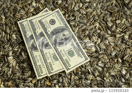 Dollars banknotes and sunflower seeds, oleaginous Commodity value concept. 115938183