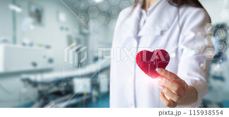 Concept of treatment and care of the heart. Concept of treatment and care of the heart. 115938554