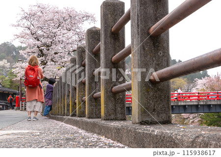 240418中橋桜z086 240418中橋桜z086 115938617