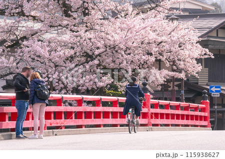 240418中橋桜g029 240418中橋桜g029 115938627