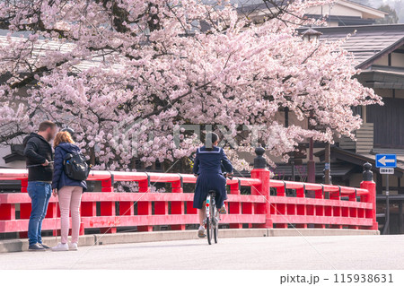 240418中橋桜g026 115938631
