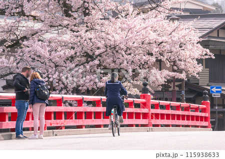 240418中橋桜g025 240418中橋桜g025 115938633