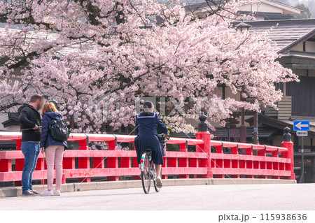 240418中橋桜g023 240418中橋桜g023 115938636