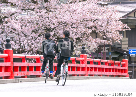 240419中橋桜g054 240419中橋桜g054 115939194
