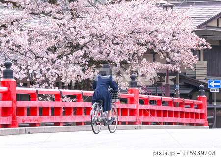240419中橋桜g012 240419中橋桜g012 115939208
