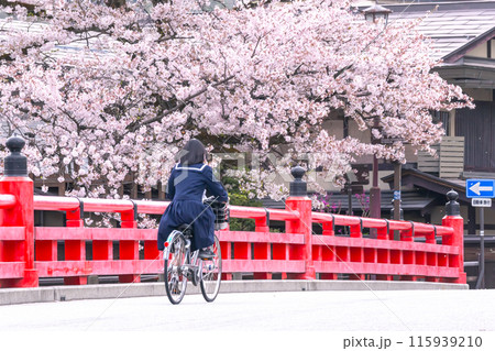 240419中橋桜g010 240419中橋桜g010 115939210