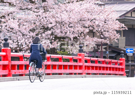 240419中橋桜g007 115939211