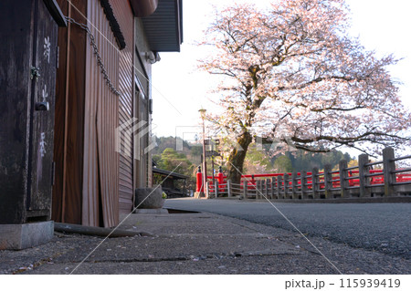 240420中橋桜z030 240420中橋桜z030 115939419