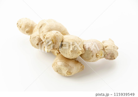 生姜 115939549