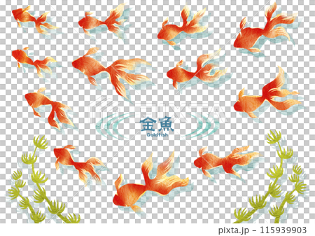 ちぎり絵風金魚イラスト 115939903