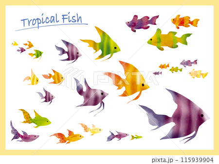 カラフル熱帯魚イラスト 115939904