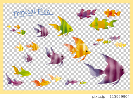 カラフル熱帯魚イラスト 115939904