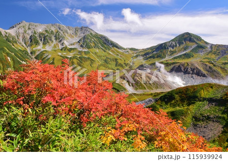 秋の立山連峰 ハイキング 秋の立山連峰 ハイキング 115939924