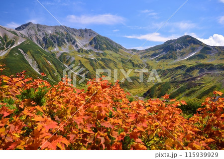 秋の立山連峰 ハイキング 秋の立山連峰 ハイキング 115939929
