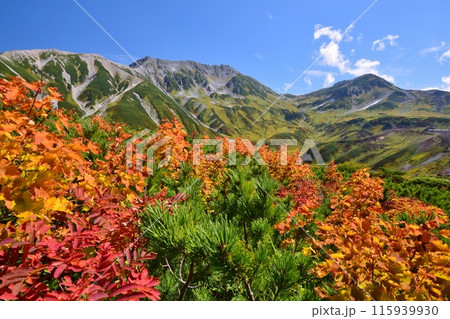 秋の立山連峰　ハイキング 115939930