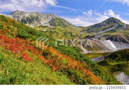 秋の立山連峰　ハイキング 115939931