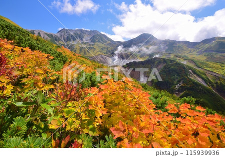 秋の立山連峰 ハイキング 秋の立山連峰 ハイキング 115939936