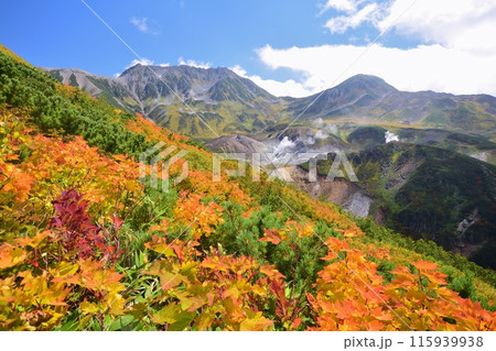 秋の立山連峰　ハイキング 115939938
