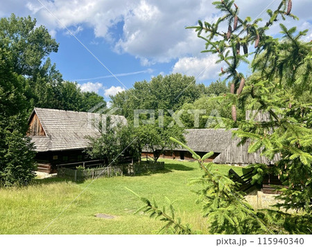 Branch of a coniferous tree on the background of a wooden house. Upper Silesian Ethnographic park. 115940340
