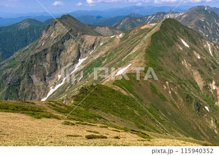 初夏の谷川連峰・ぐんま県境稜線トレイル 115940352