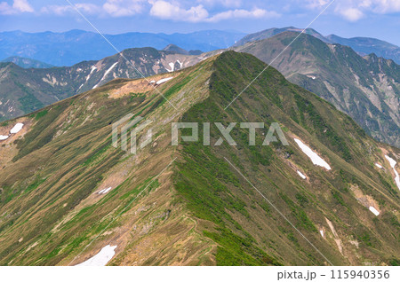 初夏の谷川連峰・ぐんま県境稜線トレイル 115940356