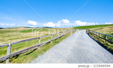 美ヶ原トレッキング:美ヶ原パノラマコース 美ヶ原トレッキング:美ヶ原パノラマコース 115940504