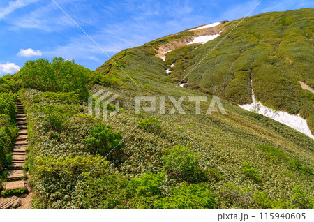 (群馬県)谷川岳天神尾根の登山道と青空 (群馬県)谷川岳天神尾根の登山道と青空 115940605