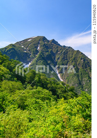 (群馬県)初夏の谷川岳・天神尾根からの絶景 (群馬県)初夏の谷川岳・天神尾根からの絶景 115940620