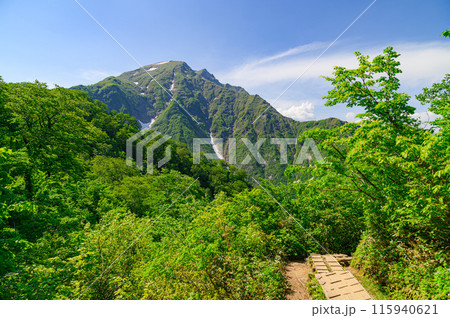 (群馬県)初夏の谷川岳・天神尾根からの絶景 (群馬県)初夏の谷川岳・天神尾根からの絶景 115940621