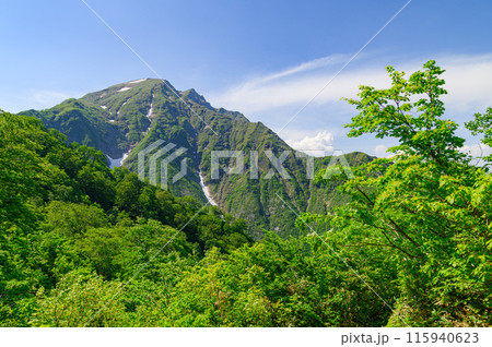 （群馬県）初夏の谷川岳・天神尾根からの絶景 115940623