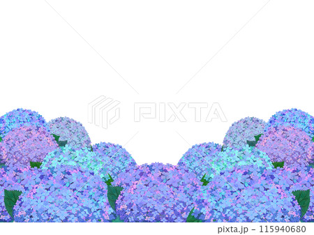 白背景のアジサイが下に咲くカラーイラスト 白背景のアジサイが下に咲くカラーイラスト 115940680