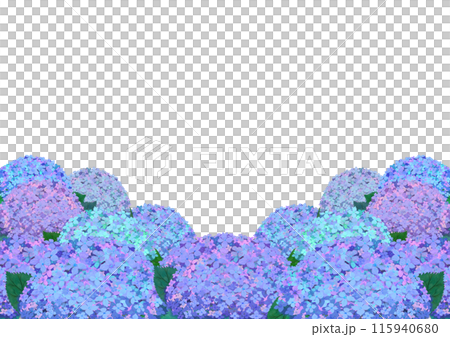 白背景のアジサイが下に咲くカラーイラスト 白背景のアジサイが下に咲くカラーイラスト 115940680