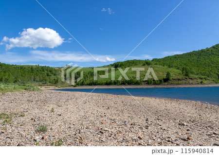 初夏の野反湖　群馬県中之条町 115940814