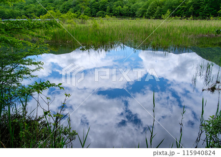 映る青空 映る青空 115940824