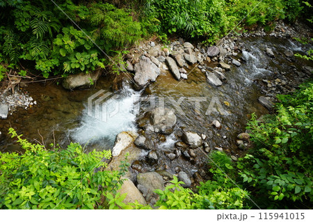 富山県上市町にて新緑の森を流れる清流1 富山県上市町にて新緑の森を流れる清流1 115941015