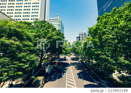 茂る並木を抜けるオフィス街 新宿副都心 2024.06 a-4 暖色寒色強調 茂る並木を抜けるオフィス街 新宿副都心 2024.06 a-4 暖色寒色強調 115941149