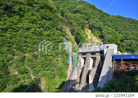 相俣ダム　仮説展望台からの眺め　猿ヶ京　新緑の季節　 115941264