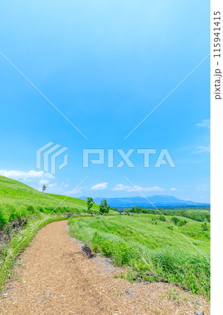 初夏の押戸石の丘 熊本県南小国町 初夏の押戸石の丘 熊本県南小国町 115941415